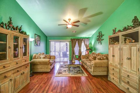 11346 E Downing Cir, Mesa, AZ 85207 photo 9