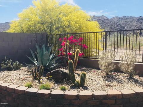 315 E Summerside Rd, Phoenix, AZ 85042 photo 37