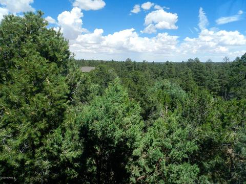 2832 Thunderbolt Cir, Overgaard, AZ 85933 photo 33