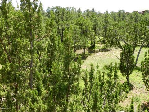 2832 Thunderbolt Cir, Overgaard, AZ 85933 photo 16