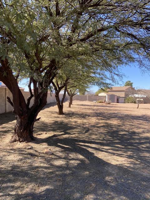 2521 E 20th St, Douglas, AZ 85607 photo 37