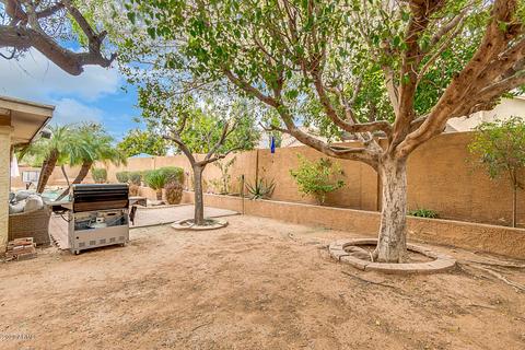 7238 E Natal Ave, Mesa, AZ 85209 photo 39