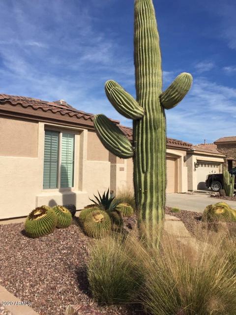 4260 E Narrowleaf Dr, Gilbert, AZ 85298 photo 7