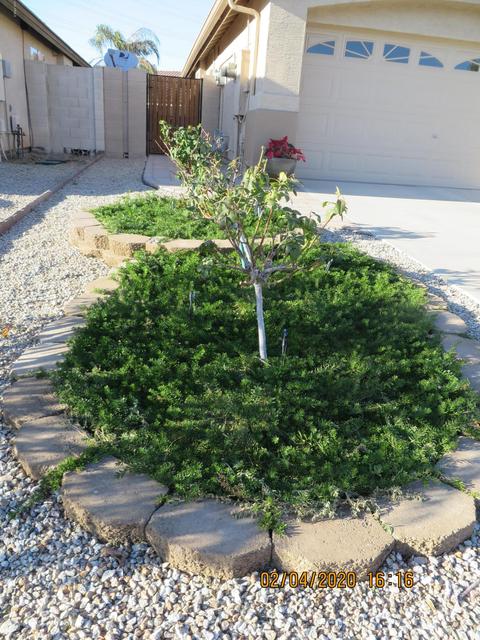 3446 W Patrick Ln, Phoenix, AZ 85027 photo 28