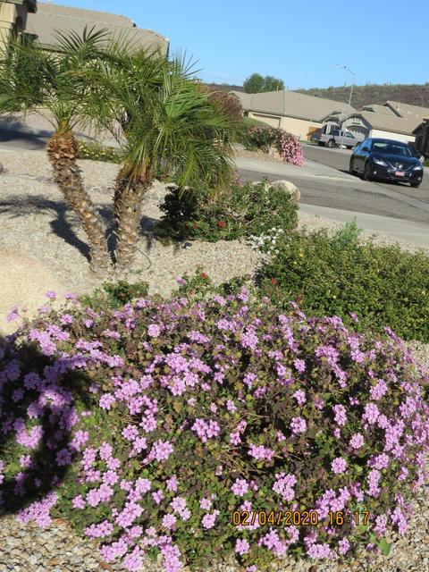 3446 W Patrick Ln, Phoenix, AZ 85027 photo 49