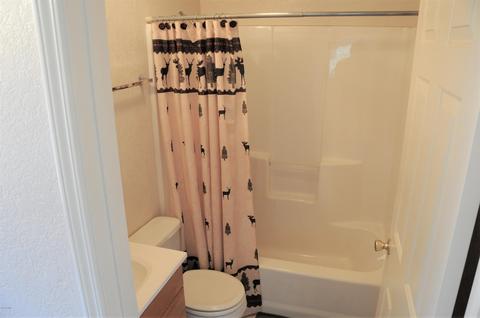 2961 Windmill Ln, Overgaard, AZ 85933 photo 14