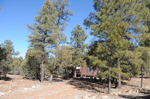 2961 Windmill Ln, Overgaard, AZ 85933 photo 31