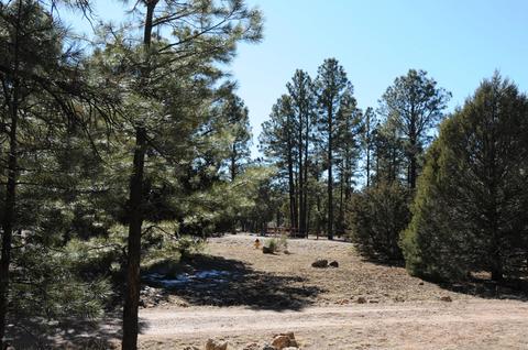 2961 Windmill Ln, Overgaard, AZ 85933 photo 30