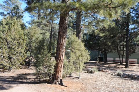 2961 Windmill Ln, Overgaard, AZ 85933 photo 28