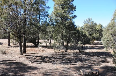 2961 Windmill Ln, Overgaard, AZ 85933 photo 29