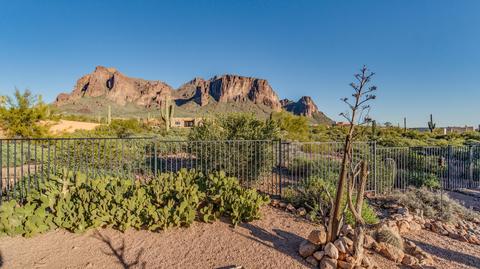 3039 N Geronimo Rd, Apache Junction, AZ 85119 photo 51