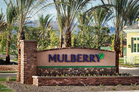 10532 E Nichols Ave, Mesa, AZ 85209 photo 32