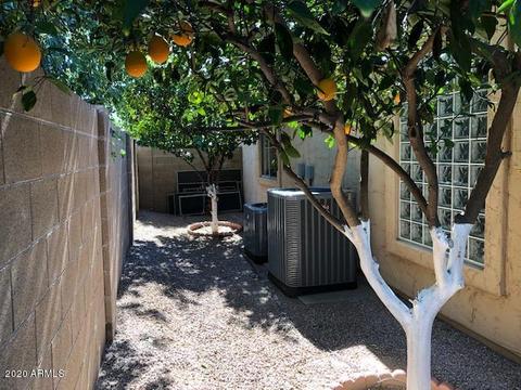 4656 E Des Moines St, Mesa, AZ 85205 photo 45