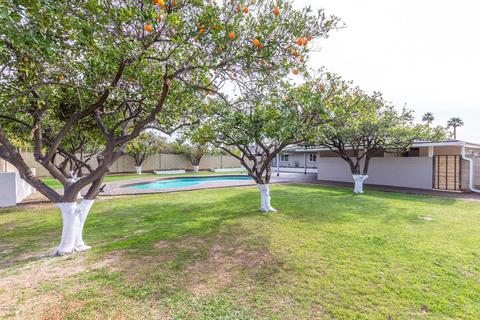 902 E Palmaire Ave, Phoenix, AZ 85020 photo 30