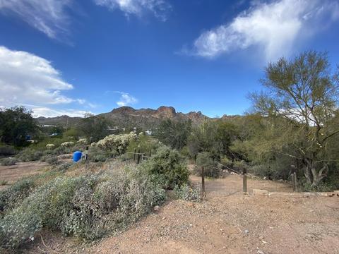 5116 N Thunderbird Dr, Apache Junction, AZ 85120 photo 7