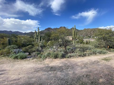 5116 N Thunderbird Dr, Apache Junction, AZ 85120 photo 30