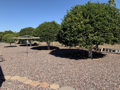 3160 E Main St #57, Mesa, AZ 85213 photo 23