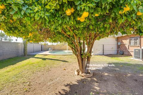 3933 W Marlette Ave, Phoenix, AZ 85019 photo 26