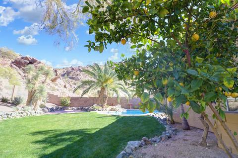 1438 E Dry Creek Rd, Phoenix, AZ 85048 photo 41