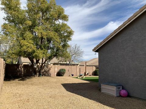 134 E Liberty Ln, Gilbert, AZ 85296 photo 14