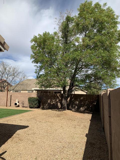 134 E Liberty Ln, Gilbert, AZ 85296 photo 6