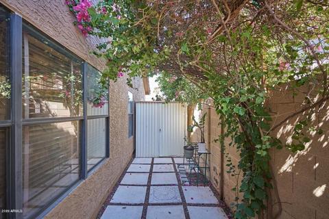 1125 E Scott Ave, Gilbert, AZ 85234 photo 30