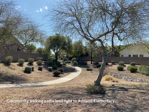 869 E Oakland St, Gilbert, AZ 85295 photo 43