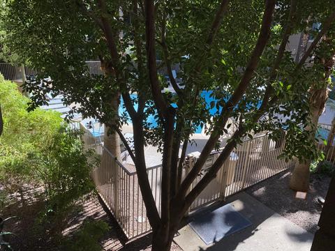1701 E Colter St #263, Phoenix, AZ 85016 photo 16