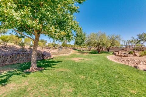 10739 E Sheffield Dr, Mesa, AZ 85212 photo 47