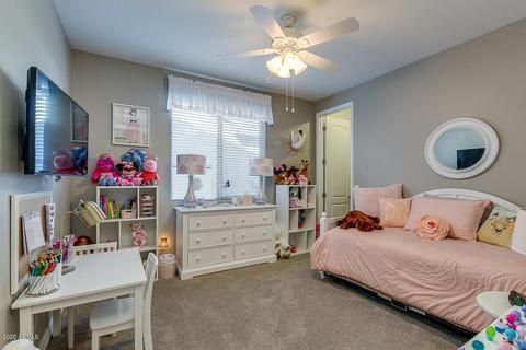 10739 E Sheffield Dr, Mesa, AZ 85212 photo 27