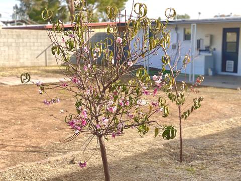 1222 E Wagon Wheel Dr, Phoenix, AZ 85020 photo 22