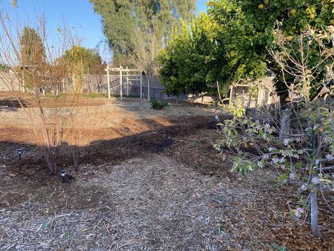 4630 E Greenway St, Mesa, AZ 85205 photo 22