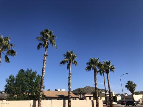 1421 E Wescott Dr, Phoenix, AZ 85024 photo 22