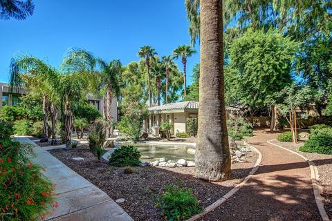 5215 N 24th St #203, Phoenix, AZ 85016 photo 4