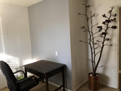 911 S Pine View St, Payson, AZ 85541 photo 11