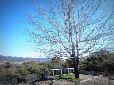 12395 E Deer Path Rd, Dewey, AZ 86327 photo 91