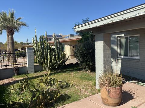306 W Vogel Ave, Phoenix, AZ 85021 photo 15