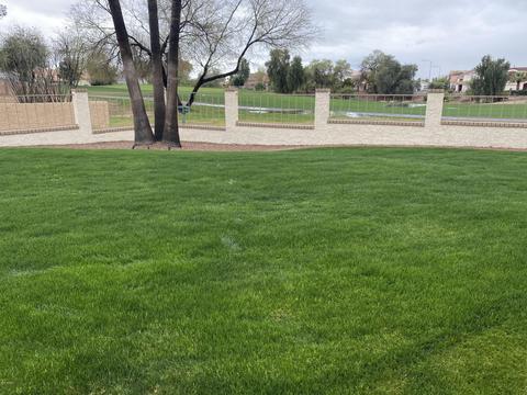 6349 E Camelot Dr, Mesa, AZ 85215 photo 86