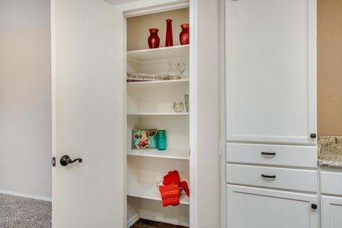 8711 E Nido Ave, Mesa, AZ 85209 photo 19