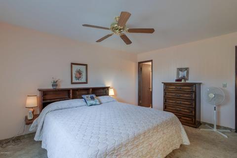 437 S Picana Cir, Apache Junction, AZ 85120 photo 10