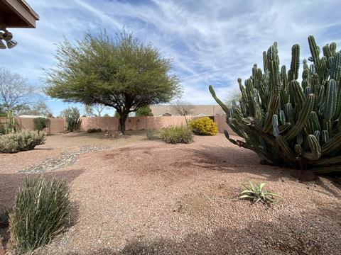 1532 E Park Ave, Gilbert, AZ 85234 photo 31
