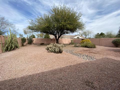 1532 E Park Ave, Gilbert, AZ 85234 photo 20