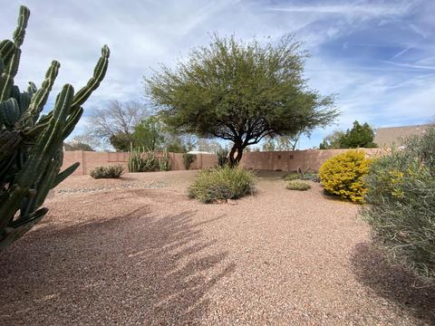 1532 E Park Ave, Gilbert, AZ 85234 photo 19