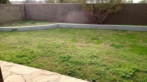 4139 E Cholla Canyon Dr, Phoenix, AZ 85044 photo 5