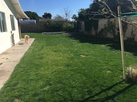 1443 E Halifax St, Mesa, AZ 85203 photo 37