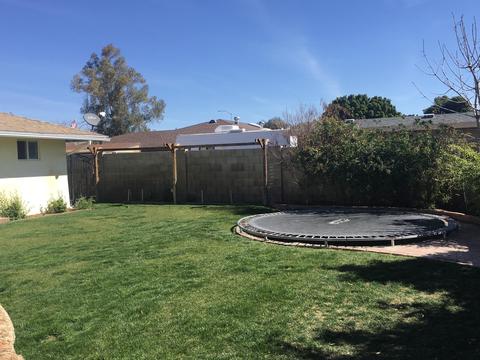 1443 E Halifax St, Mesa, AZ 85203 photo 42