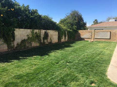 1443 E Halifax St, Mesa, AZ 85203 photo 36