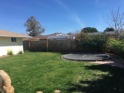 1443 E Halifax St, Mesa, AZ 85203 photo 39