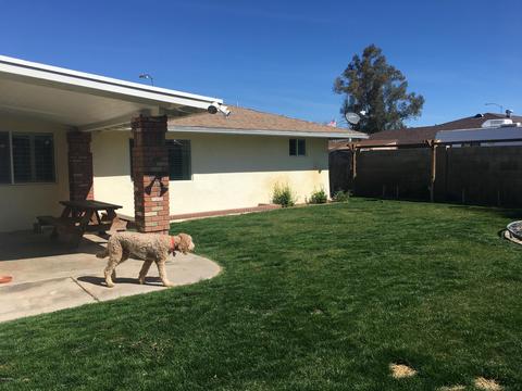 1443 E Halifax St, Mesa, AZ 85203 photo 38