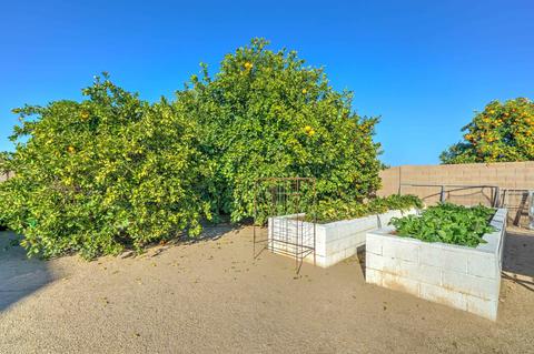 16108 E Twin Acres Dr, Gilbert, AZ 85298 photo 62